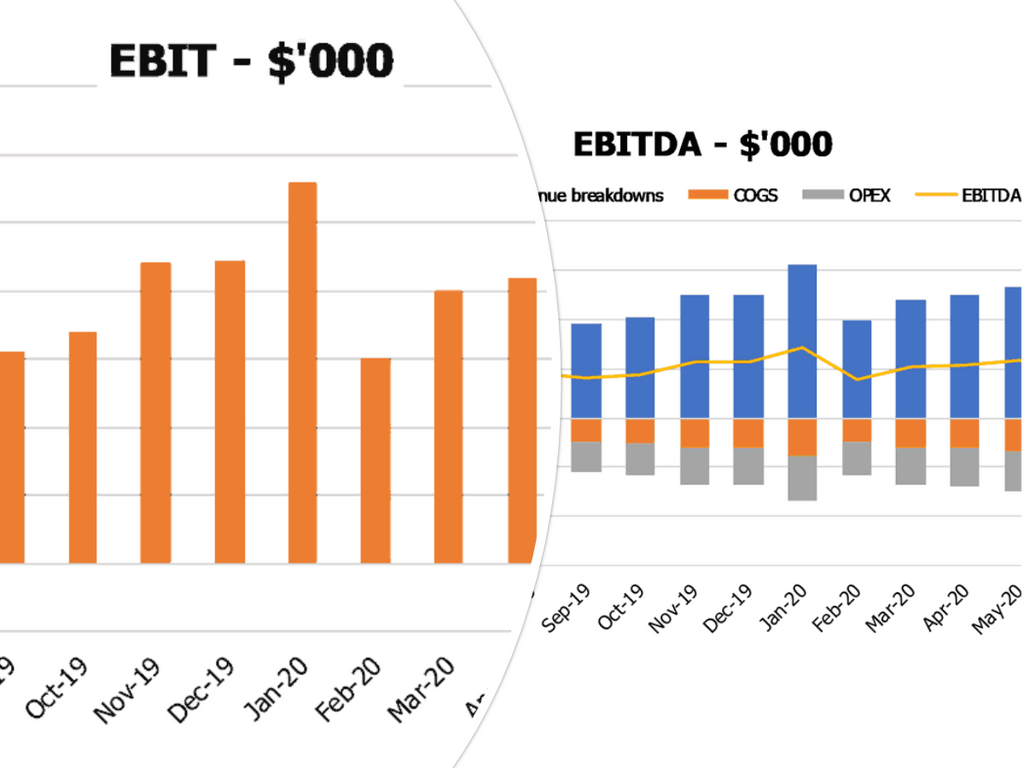 Pet Sitting Service Cash Flow Projection Excel Template EBIT EBITDA