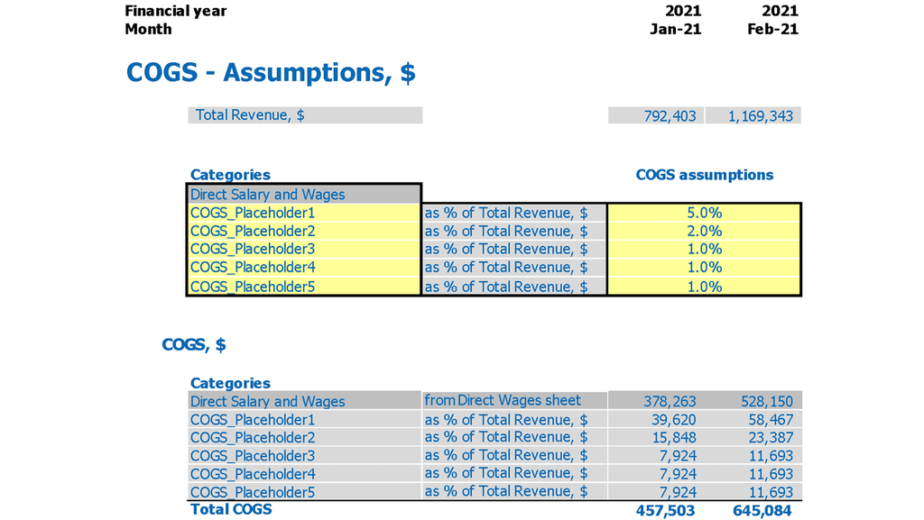 Data Analytics Software Financial Forecast Excel Template Variable Expenses Inputs