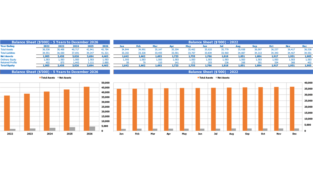 Agricultural Bank Financial Model Excel Template Summary Balance Sheet