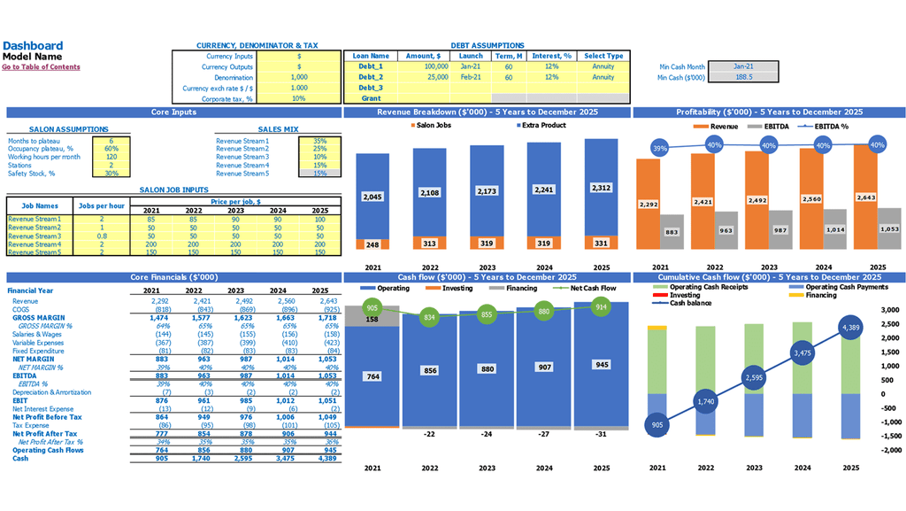 Hair Extensions Financial Plan Excel Template Dashboard