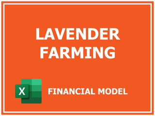 Excel financial model