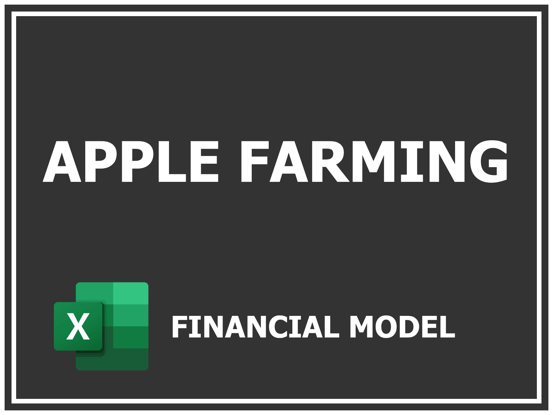 Excel financial model