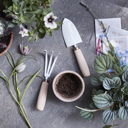 Japanese Essential Shears – The Floral Society