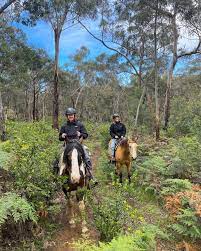 A picture of a person enjoying a horseback riding tour in Great Ocean Road, AU