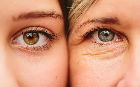 Collagen Deficit And Protein Deficiency