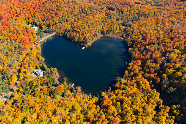 Lake Love Heart
