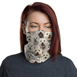 West Highland White Terriers1 Head Scarf | Neck Gaiter | Unisix Face Mask