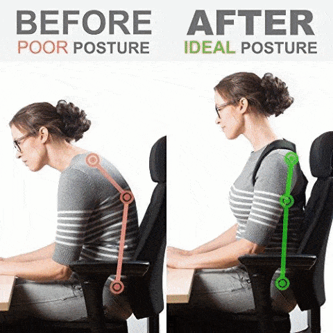 Posture Corrector Belt - Relief from Bad Posture and Back Pain (FREE S –  Pazumi.in