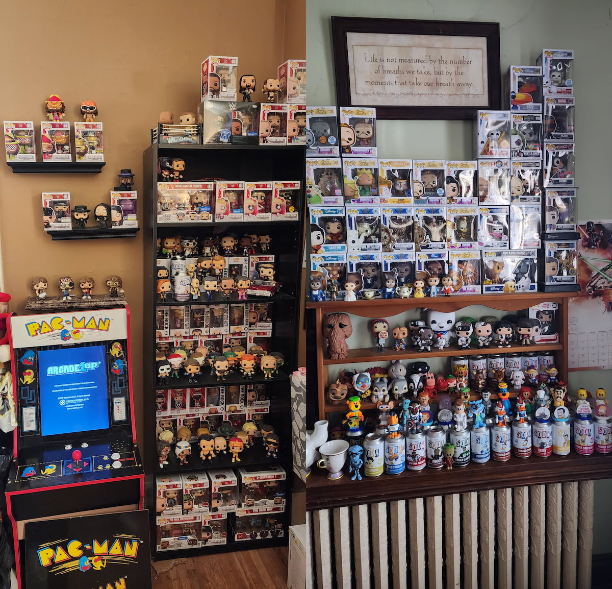 WWE Funko Pop Collection