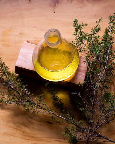 Manuka oil in glass bottle presented on top of a slice of Manuka tree surrounded by Fresh Manuka branch and leaves