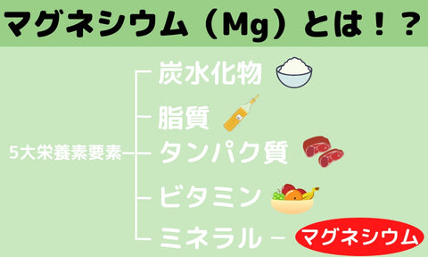 マグネシウム（Mg）とは！？