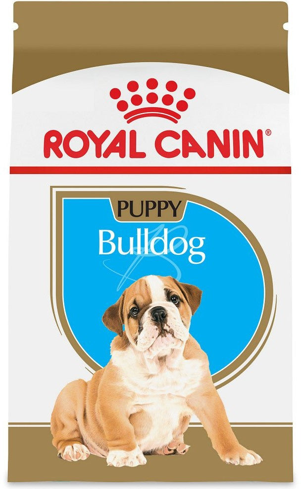 bulldog royal canin puppy