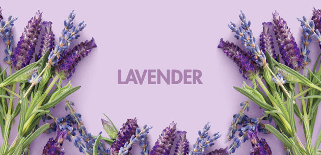 how we source our lavender oil