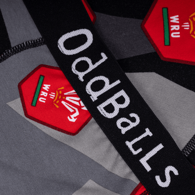Welsh Rugby Union - Away - Mens Briefs