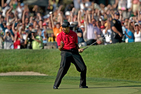 Tiger Woods Fist Pump