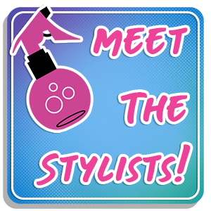 Meet the Stylists text graphic