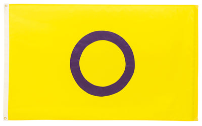 Intersex-Inclusive Progress Pride Flag at the Smithsonian