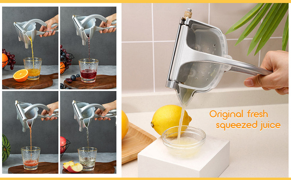 Stainless Steel Manual Juicer