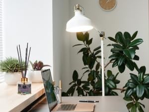 Reed diffuser for office, study room