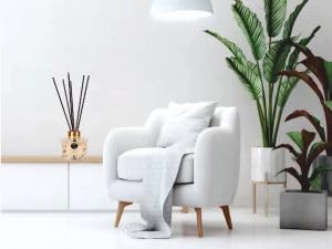 Reed Diffuser for Living room