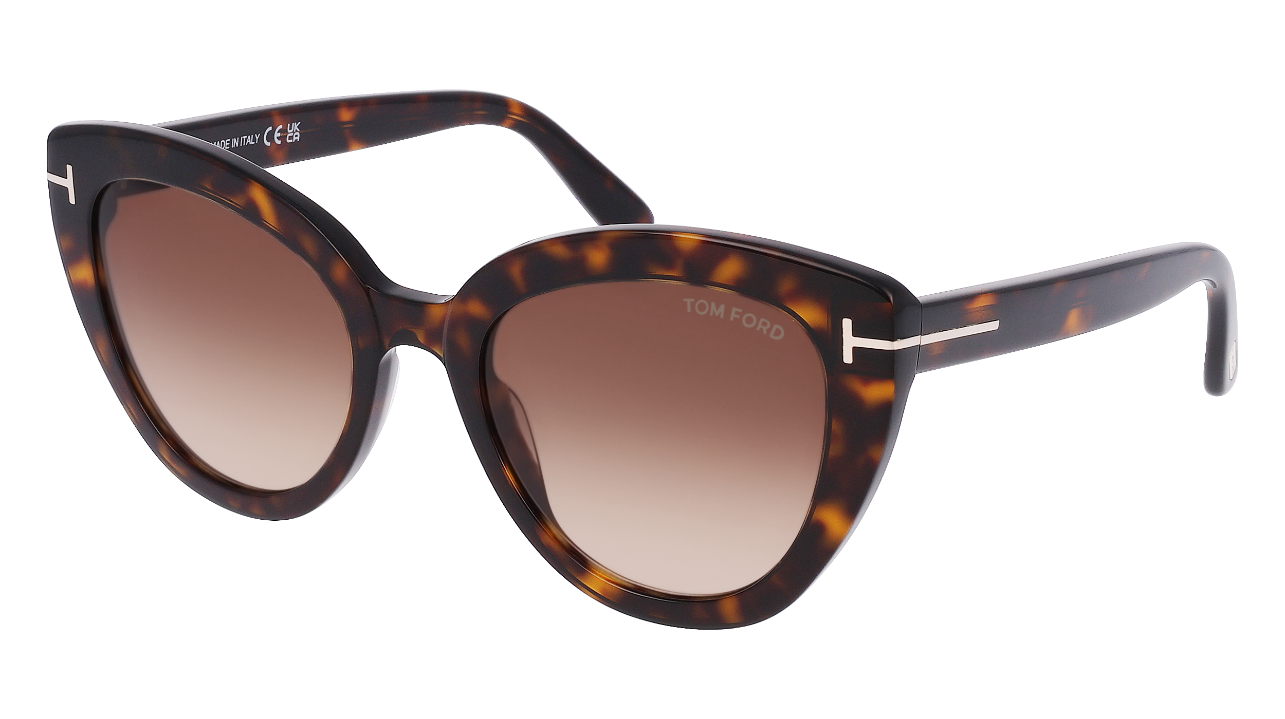 Tom Ford FT0845 Black Sunglasses | 1001 Optical