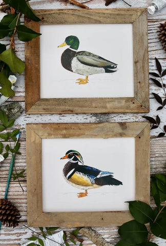 best duck art