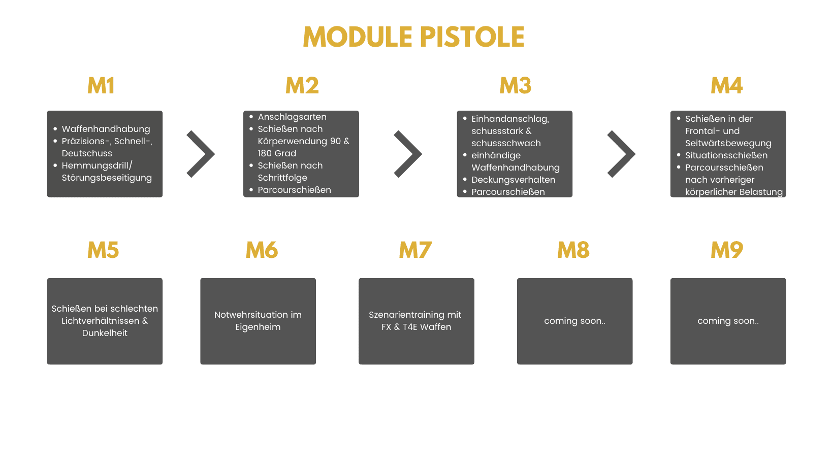 Module Pistole