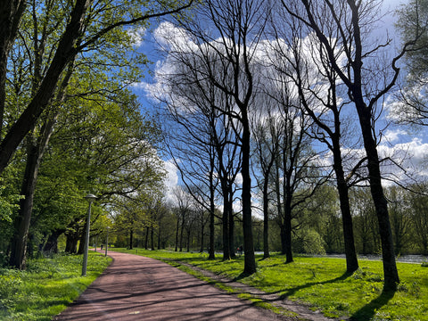 Rembrandtpark in spring