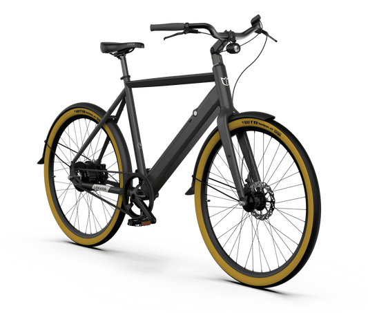 Noord Amerika taart Chronisch Premium Dutch eBikes | Shop now | LEKKER Bikes – Lekker Bikes