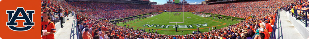 Auburn University