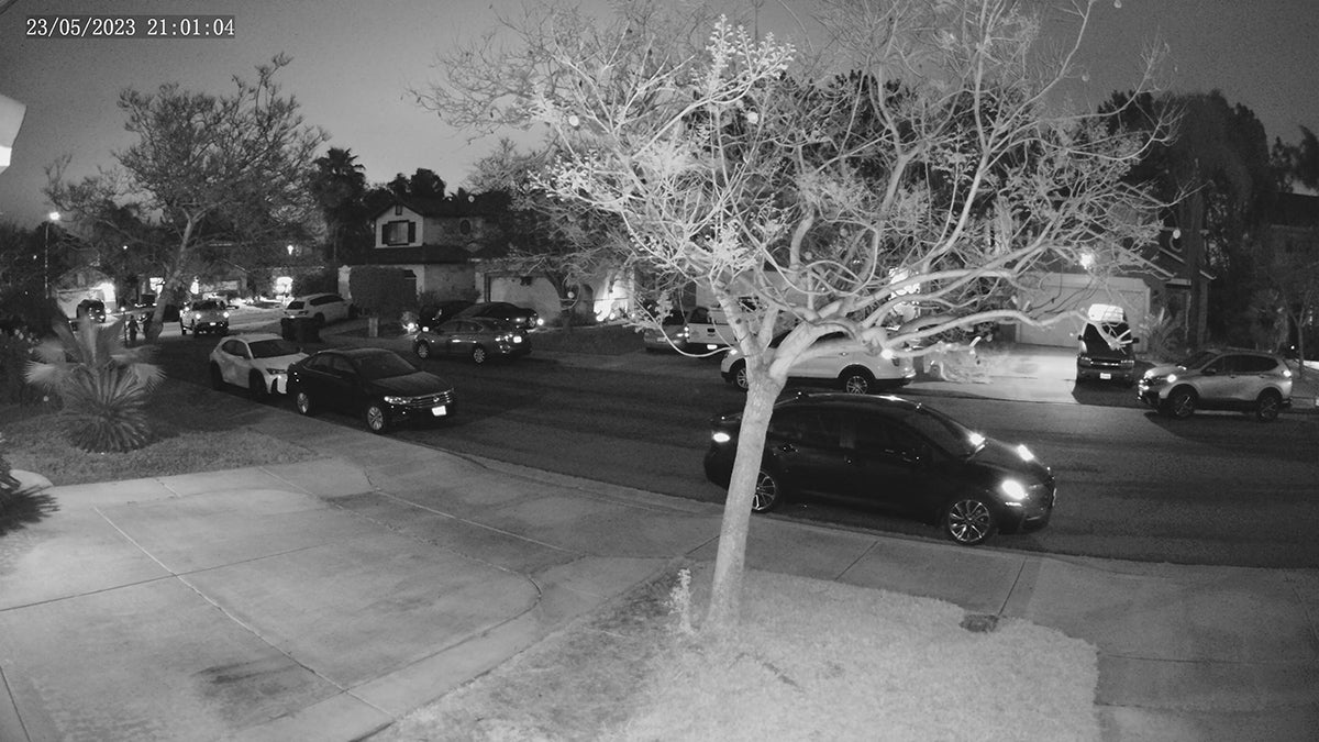 TriGuard Nighttime BW Image