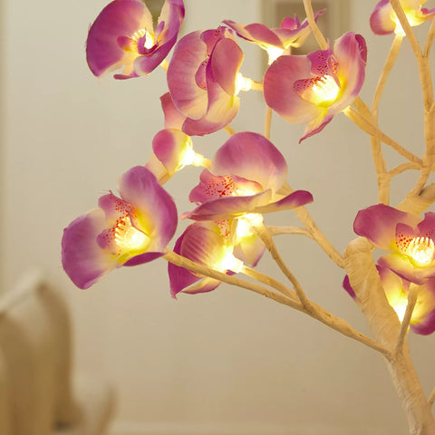 orchid lamp