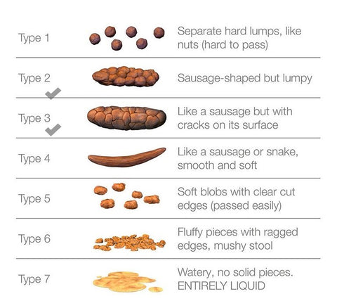 Dog Poop Chart : Come To Tell If Your Dog’s Poop Is Healthy#N#– Laikapets