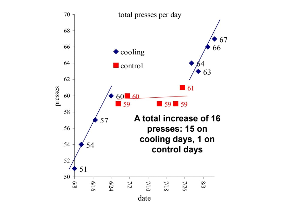 coolmitt bech press graph