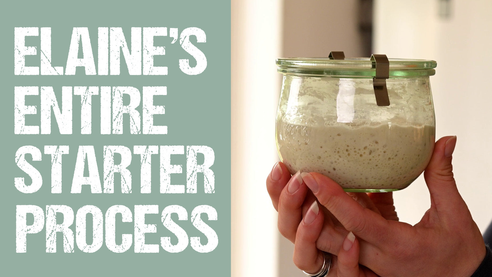 Elaine's Entire Starter Process Series Thumb - Featuring Star the sourdough starter