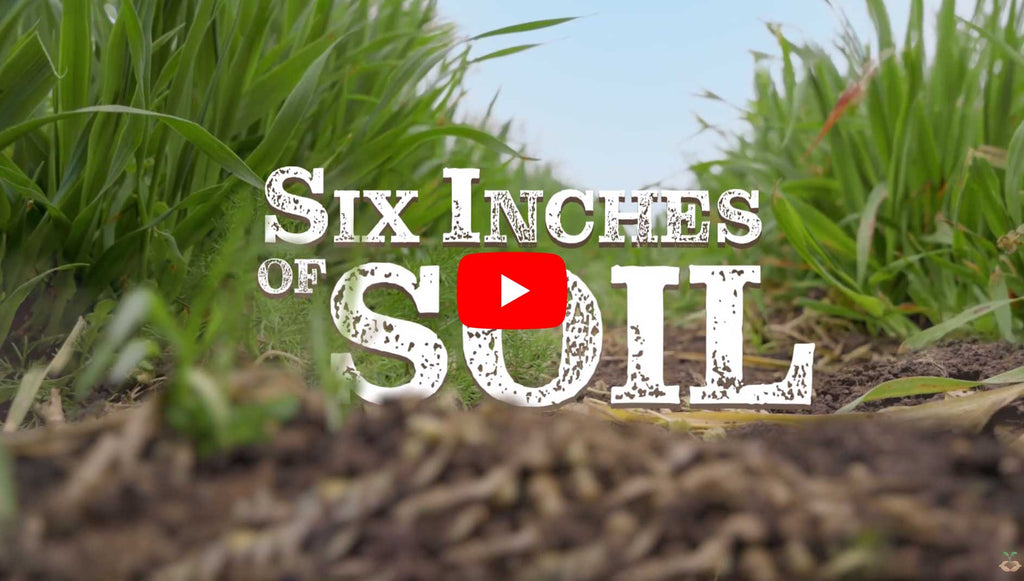 Six inches of soil video