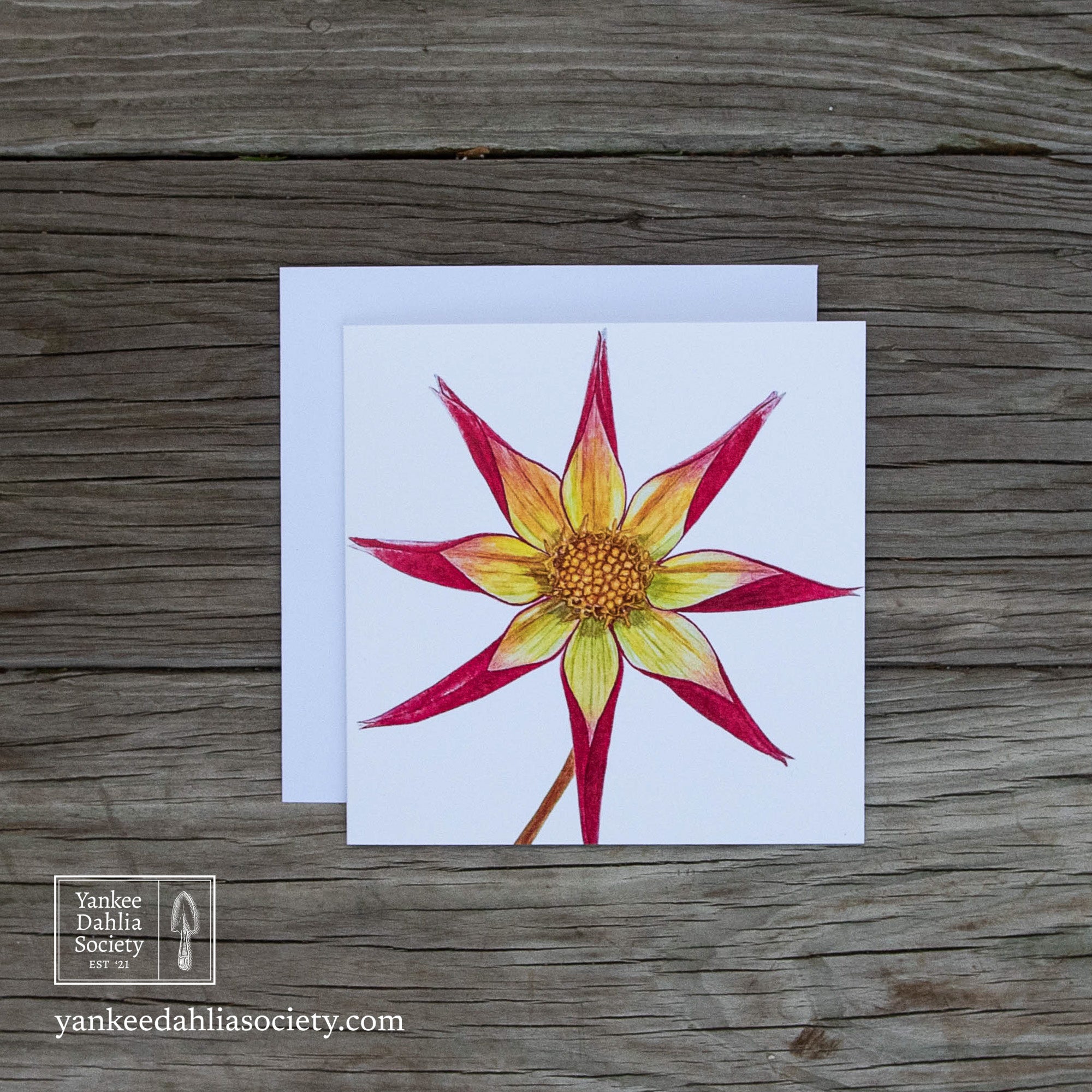 Product image - 6" Dahlia Card - Style 2: Orchid
