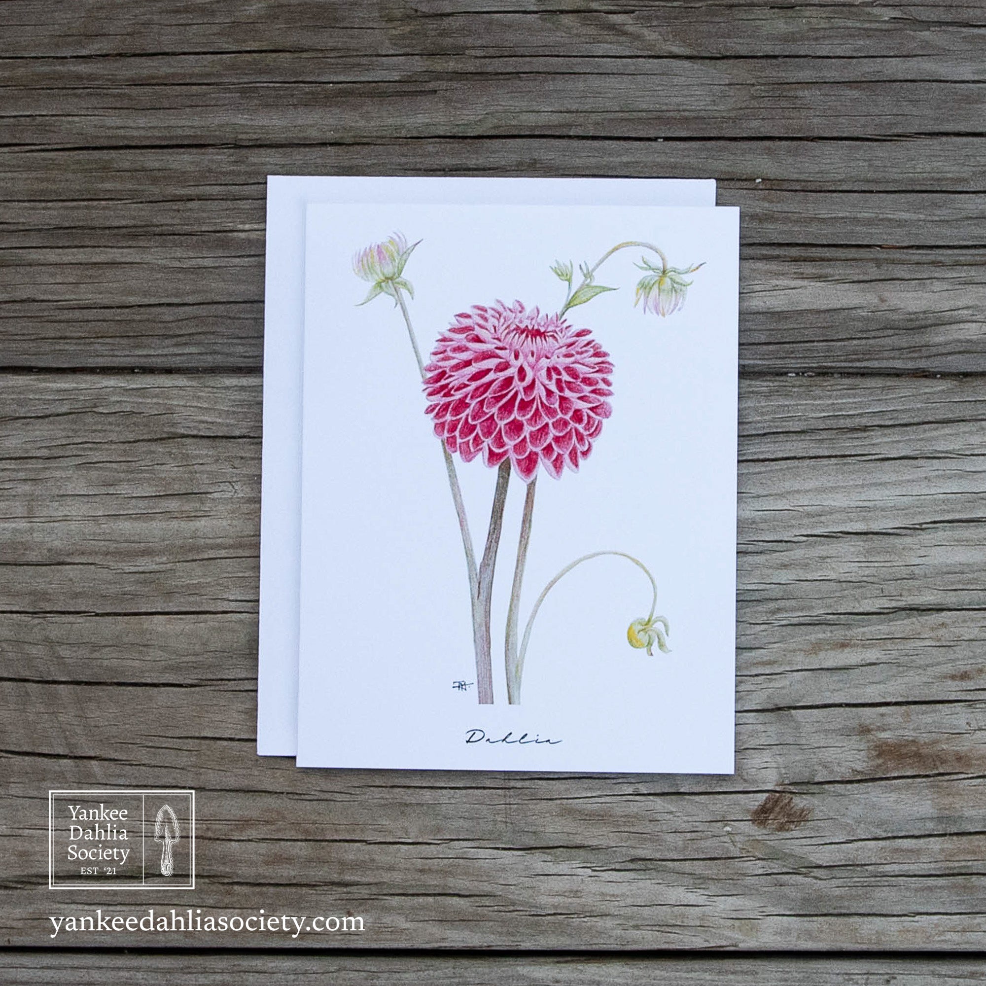 Product image - 4.5"x5.5" Card:  Coral Dahlia