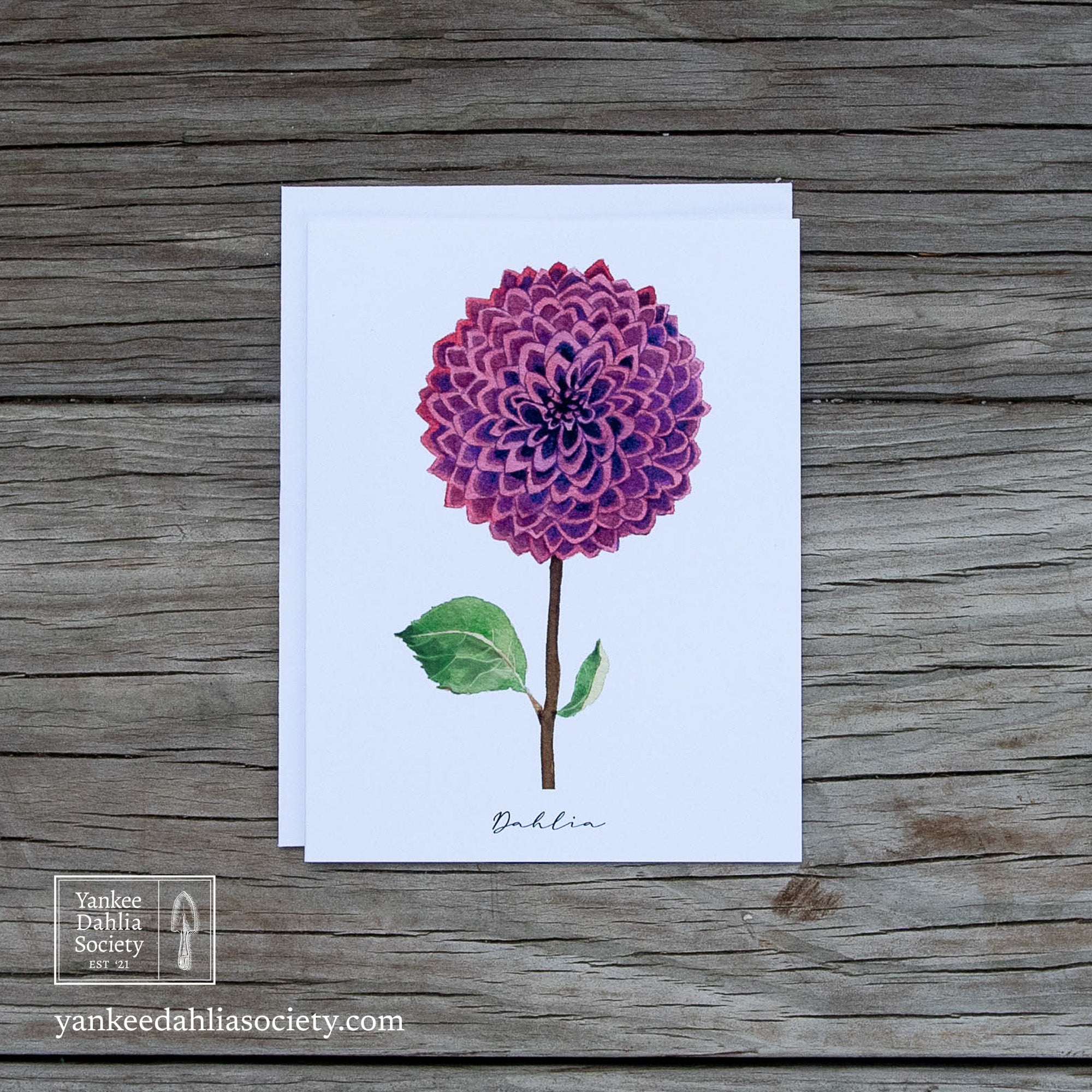 Product image - 4.5"x5.5" Card:  Purple Dahlia