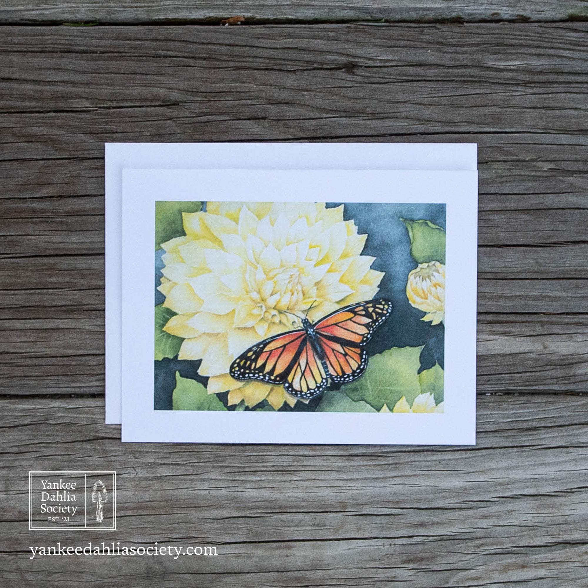 Product image - 4"x5" Card:  Yellow Dahlia with Butterfly