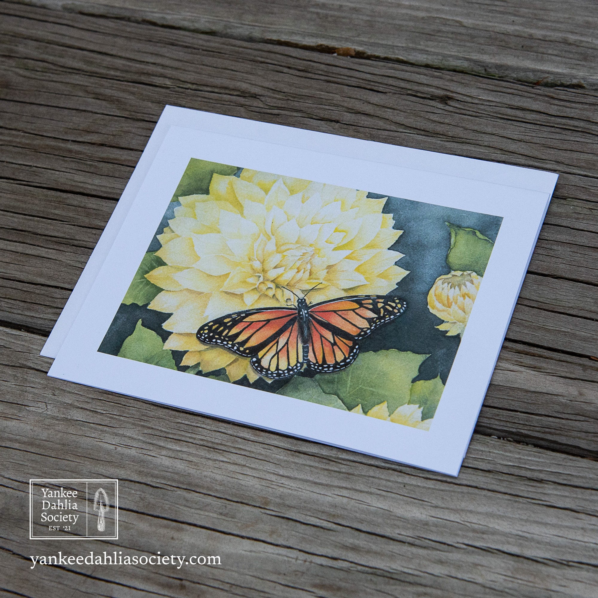 Product image - 4"x5" Card:  Yellow Dahlia with Butterfly