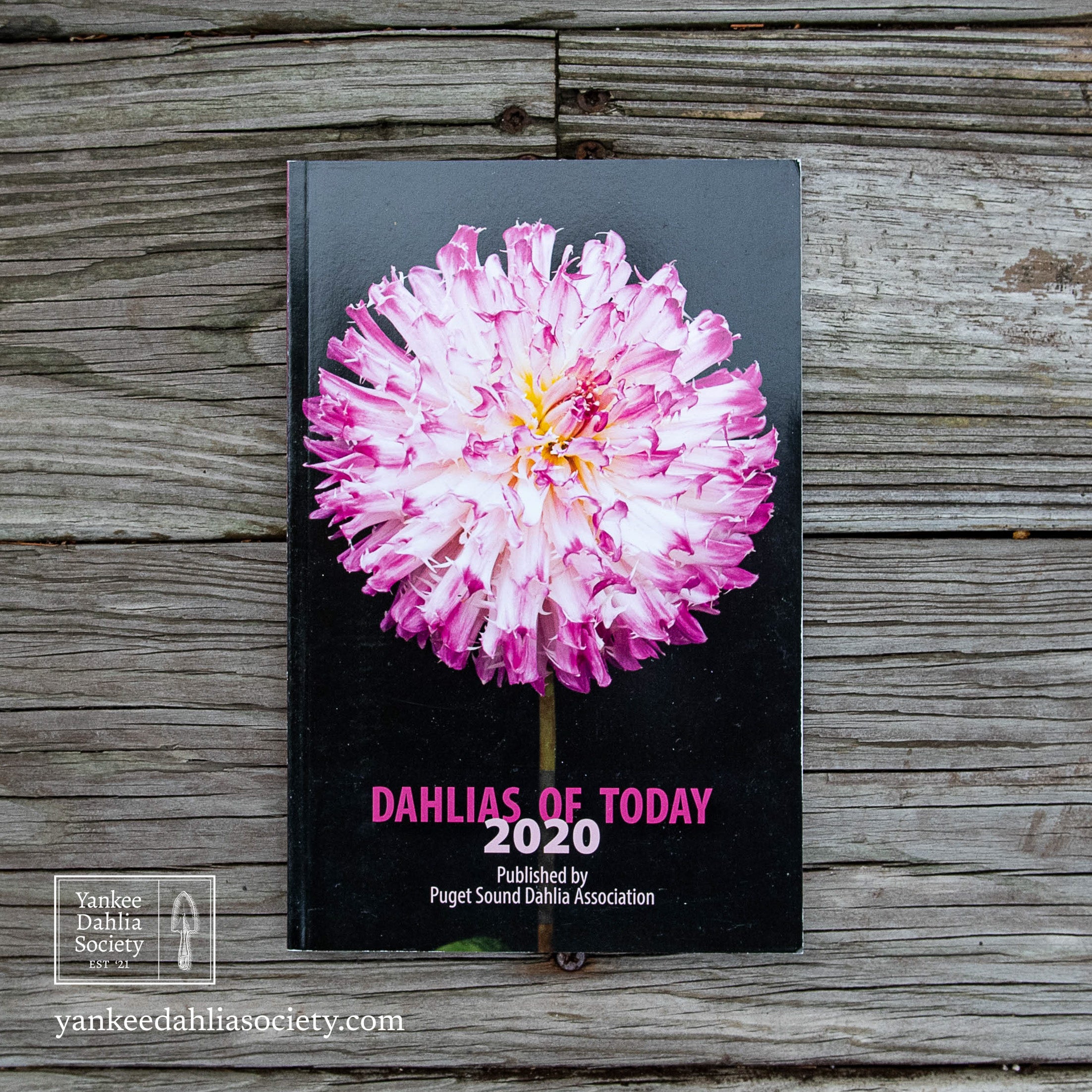 Product image - Dahlias of Today: 2020
