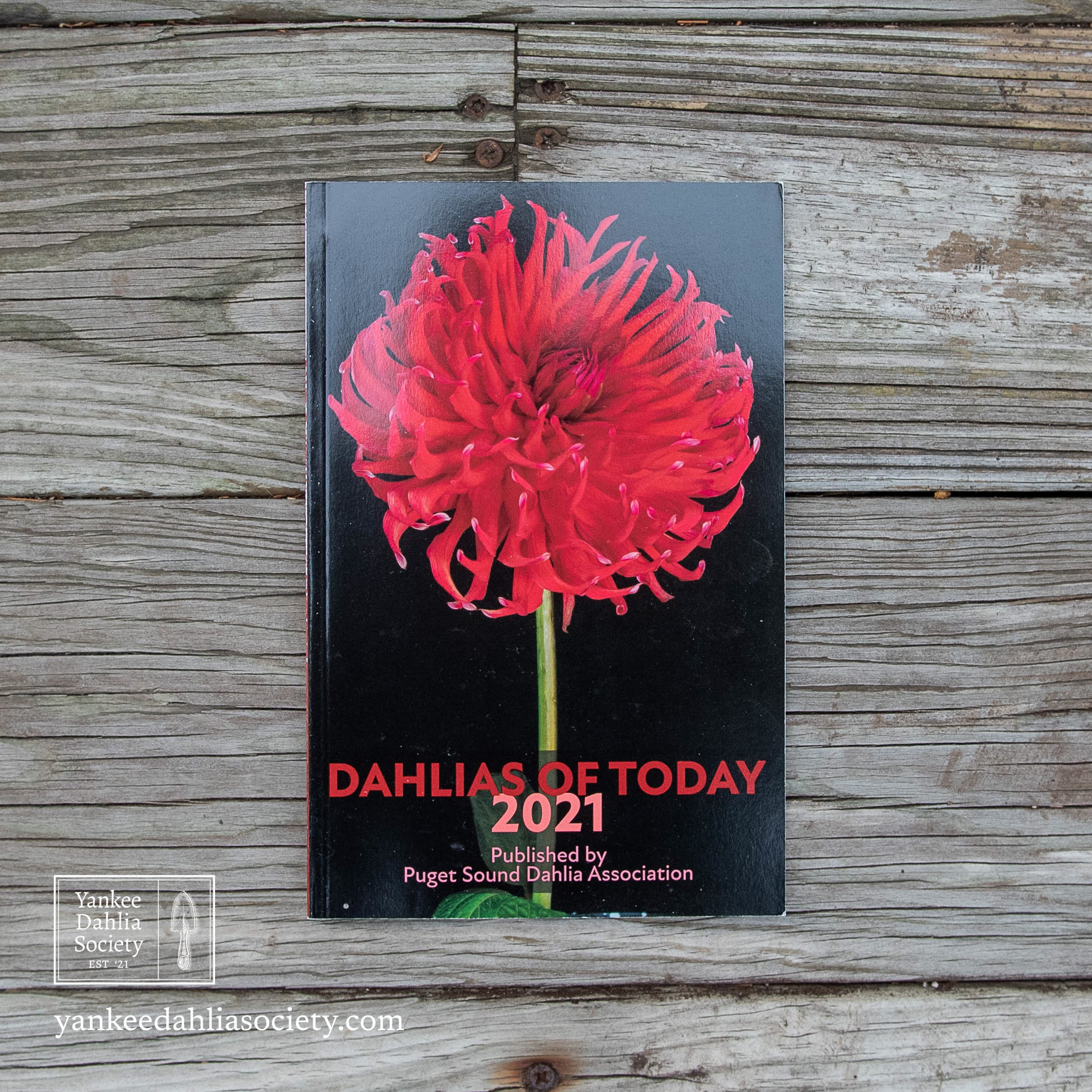 Product image - Dahlias of Today: 2021