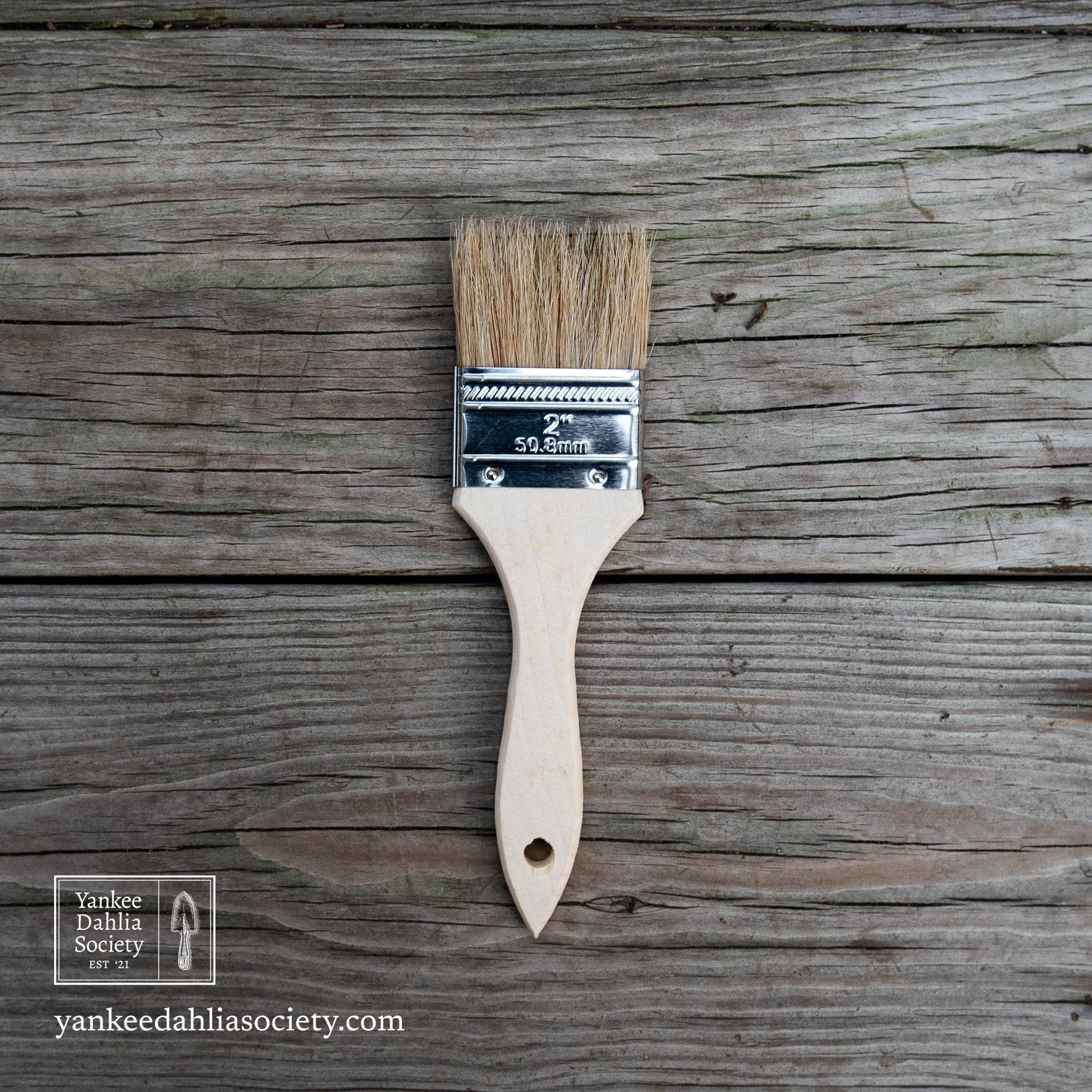 Product image - Soil Brush: 2"