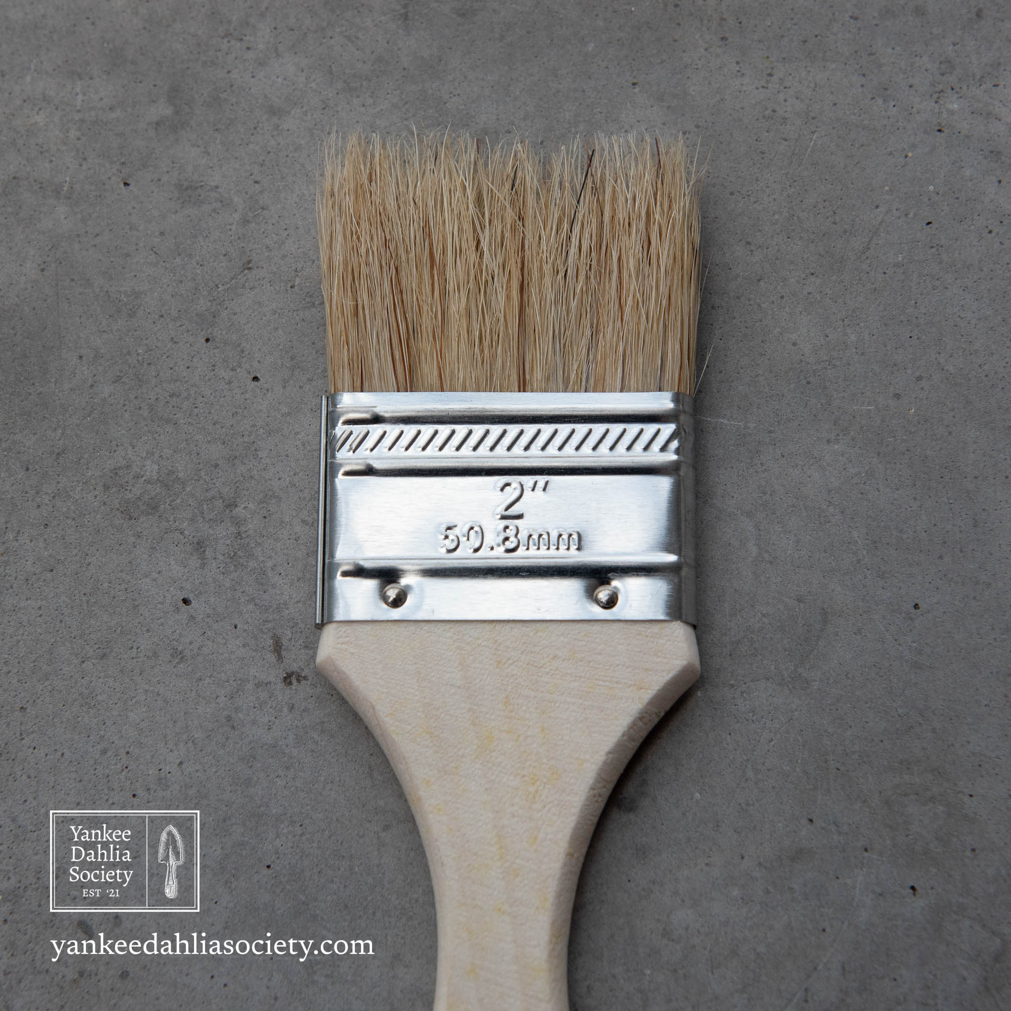 Product image - Soil Brush: 2"
