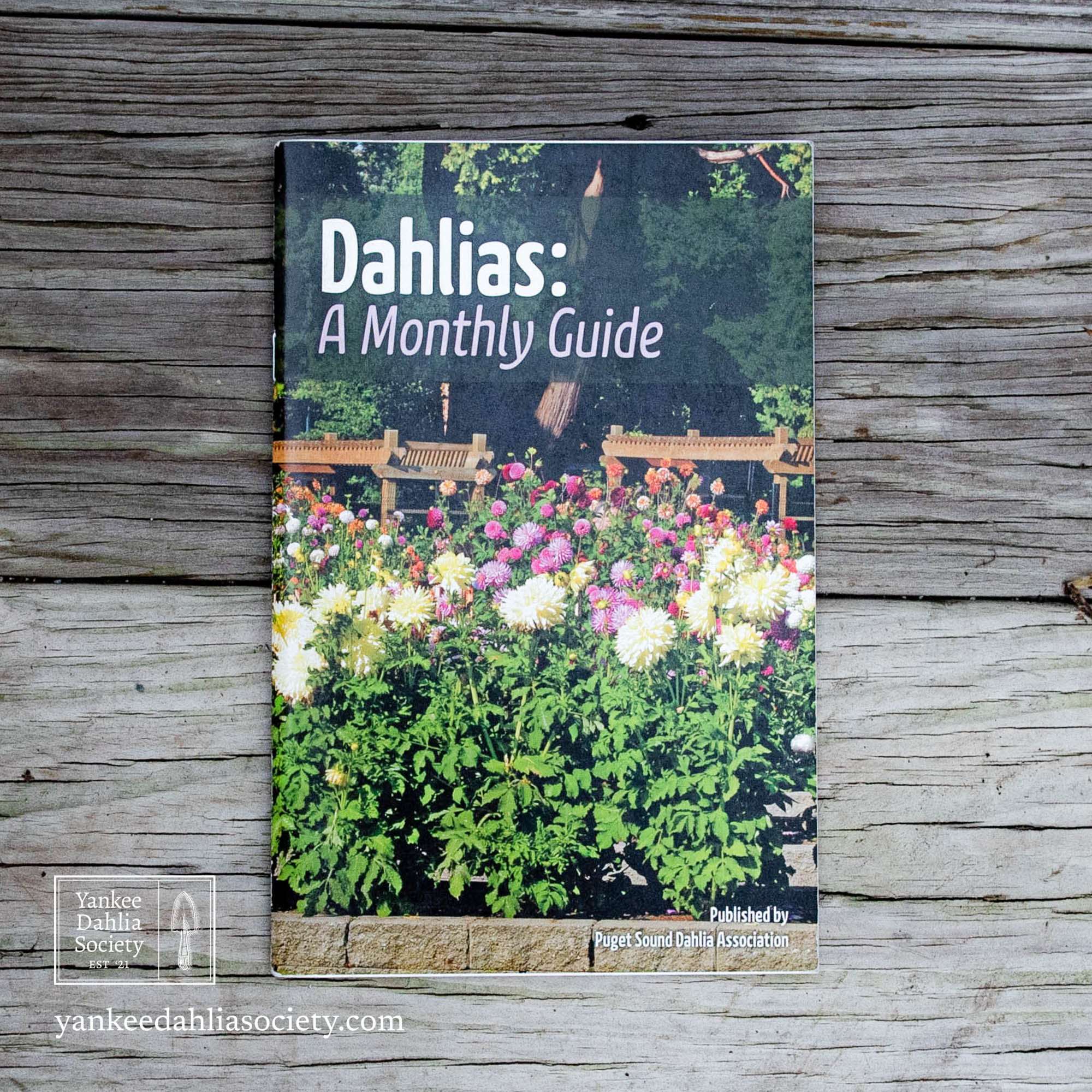 Product image - Dahlias: A Monthly Guide