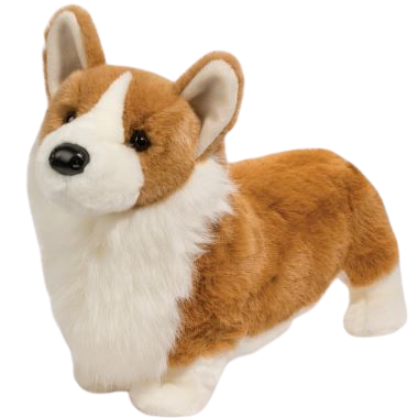 Kirby Tri-Colored Corgi