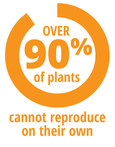 90% of plants cannot reproduce on their own