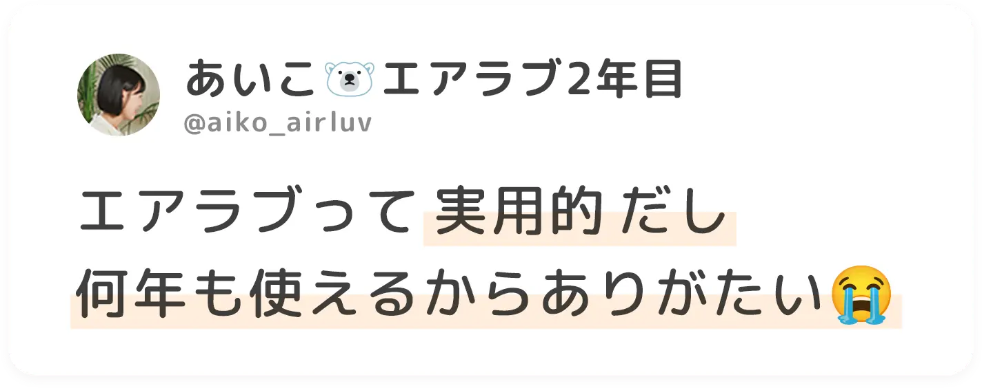 エアラブって実用的だし 何年も使えるからありがたい