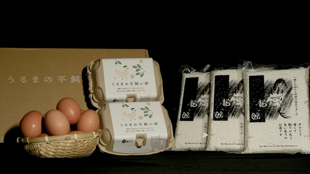 沖縄県内最高級 極上の卵かけご飯セット うるまの平飼い卵